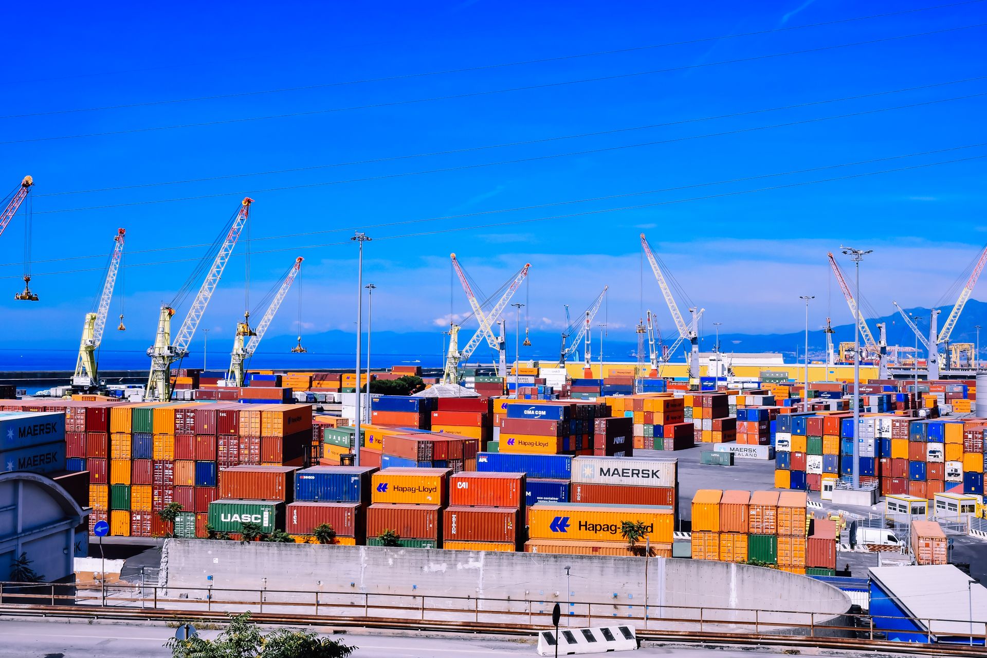 Customs and Documentation Support